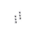 Star Drop Earrings