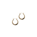 Medium-thick Small Hoops